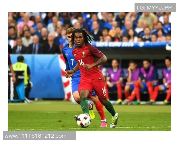 欧洲杯赛场气氛与观众参与感提升方案