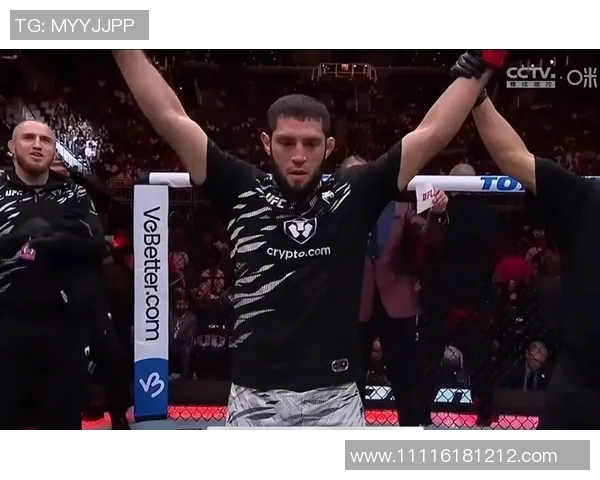 MMA格斗之夜：KO瞬间集锦